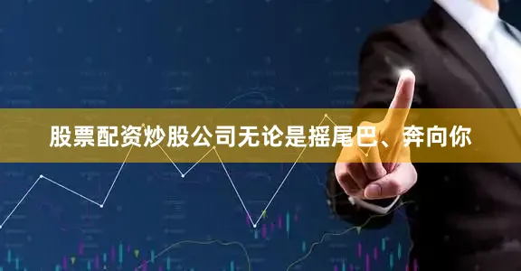 股票配资炒股公司无论是摇尾巴、奔向你