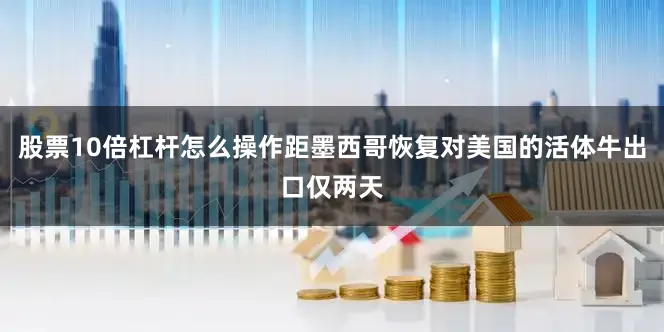 股票10倍杠杆怎么操作距墨西哥恢复对美国的活体牛出口仅两天