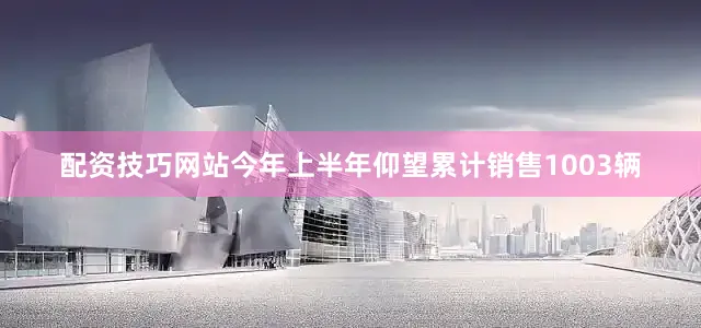 配资技巧网站今年上半年仰望累计销售1003辆